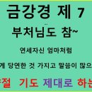 인생수업 25 중양절 과 기도 이미지