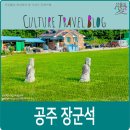 장군석 | 공주 가볼만한 곳, 공주 장군석(문인석).