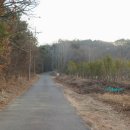 순천비봉초등학교 이미지