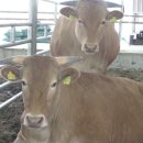 차오름농장 이미지