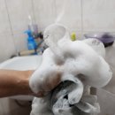 어슈어드