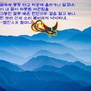 봉황여관 이미지