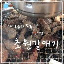 초원갈매기