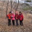 영취산(740m) 산행기(경남 밀양) 이미지