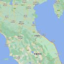 Bisci &#39;Vigneto Fogliano&#39; Verdicchio di Matelica D.O.C.2020 (비쉬 비녜토 폴리아노 베르디오 디 마텔...