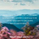 * 기도로 불말과 불병거를 목격하라! - 조태성 이미지