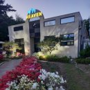 강아지 펫 헤븐 이미지