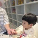 앵무새카페리프패럿삼정타워 | 아이와 방문한 삼정타워 앵무새카페 리프패럿 이용시간, 요금, 먹이체험 후기 정리