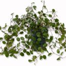 원천농장 이미지