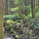 대한다원화장실 이미지