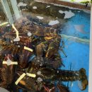 대복횟집 이미지