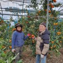 창호농장 이미지