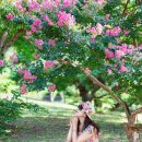 효원공원 이미지