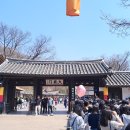 벚꽃 핀 봄날, 한국민속촌 나들이 후기 (타바용 할인·교통정보까지!)