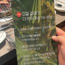 소철갈매기
