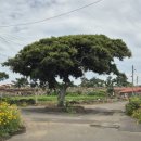 제주 휴식 자쿠지 감성숙소 이미지