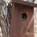 둥지종합관리 연합뉴스