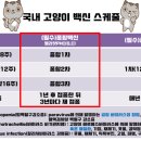 늘픔약국 이미지