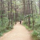 수원 광교산 포토기행--- 미국 캐나다에서 한의사로 성공하려면 정규대학교 SCU한의대를 나와 자연의학 NHD 자격증을 취득하면 성공합니다. www.scukorea.com 이미지