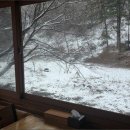 장어독립 이미지