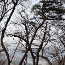 부석사삼층석탑 이미지