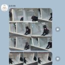 트리머펫 이미지