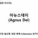 [쌍투스 성가대]아뉴스데이(Agnus Dei) 이미지