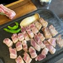 달빛고기 이미지