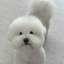 하비함미 이미지