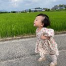 봄날소잉