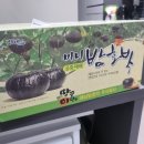 아오마켓 | [아오마켓] 해남 미니밤호박 내돈내산 후기