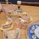 플랜트치과의원 이미지