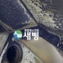 새삥종합청소서울지사