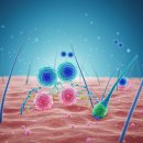 엑소메디의원 이미지