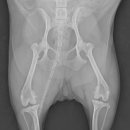 다나은 동물병원 이미지