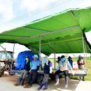 그늘막21 이미지