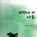 신순례