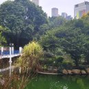 구룡공원 화장실 이미지