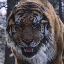 대호슈퍼 이미지