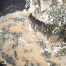 바다어탕 이미지