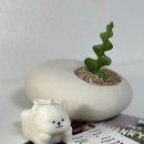 볕뉘 이미지