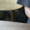 미사양식당 | 하남 미사 애견동반 가능한 미사 맛집 뷰 맛집 에헴 양식당(메뉴, 가격, 솔직후기)