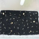 위더스 펫 이미지