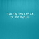 세실리아스 이미지