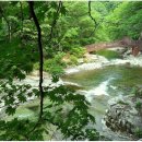 [블랙야크100대 2026년8월17일 월요일]장안산 군립공원 블랙야크100대명산 덕산계곡산행안내 이미지