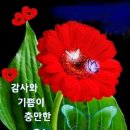 가세이야기