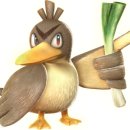 오늘이닭 이미지