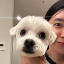 오늘도 예쁜 그루밍 이미지