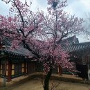 동주모터스 이미지