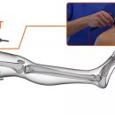 휴먼테카 이미지